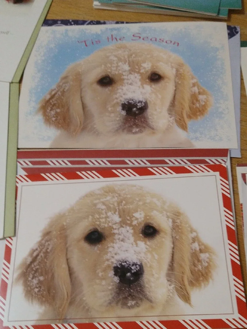 Animal Greeting Cards Assortment - Cats Dogs Birds Other